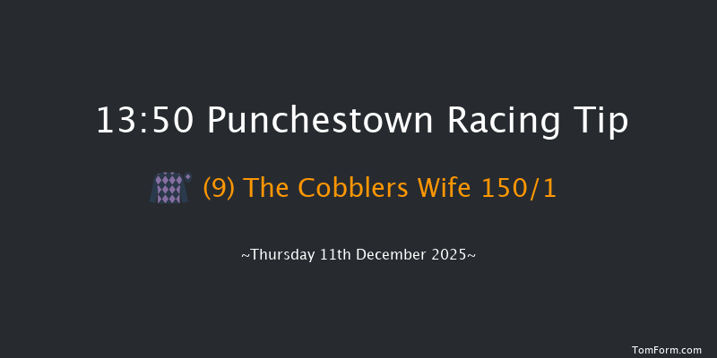 Punchestown 13-50 16f Sun 23rd Nov 2025
