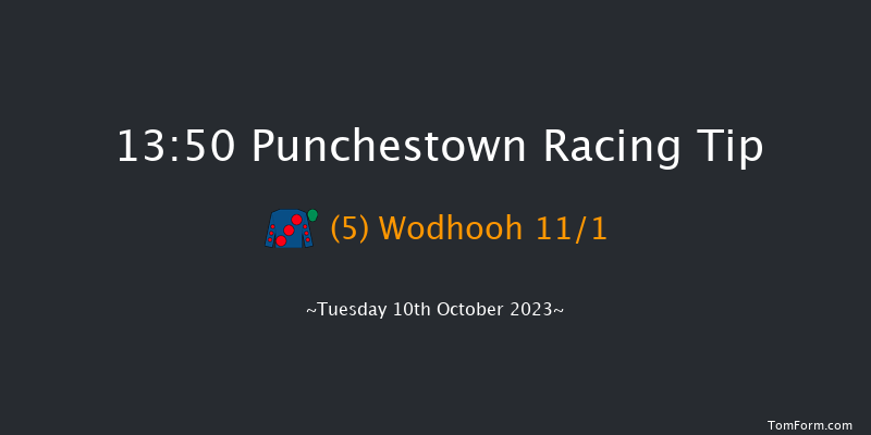 Punchestown 13:50 Conditions Hurdle 17f Wed 13th Sep 2023