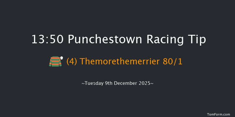 Punchestown 13-50 16f Sun 23rd Nov 2025