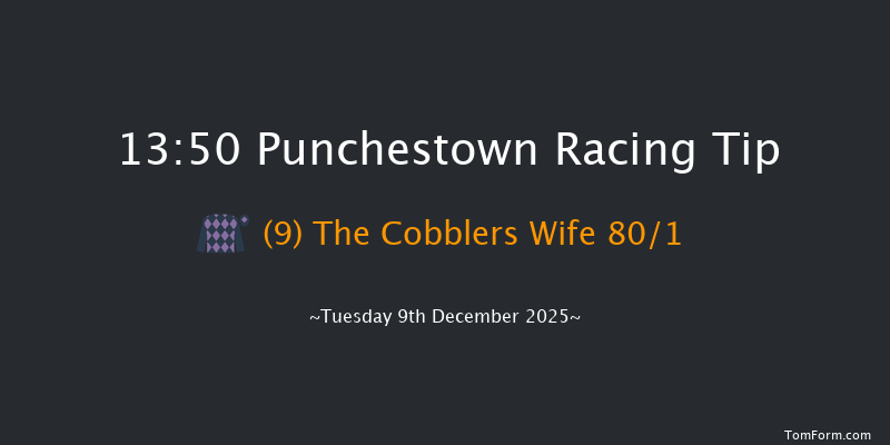 Punchestown 13-50 16f Sun 23rd Nov 2025