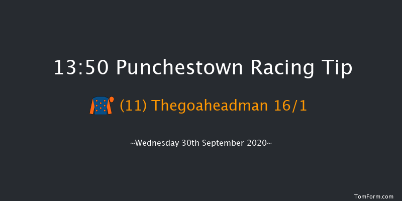 SalesSense Beginners Chase Punchestown 13:50 Maiden Chase 21f Tue 29th Sep 2020