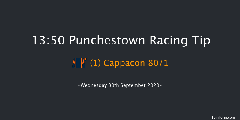 SalesSense Beginners Chase Punchestown 13:50 Maiden Chase 21f Tue 29th Sep 2020