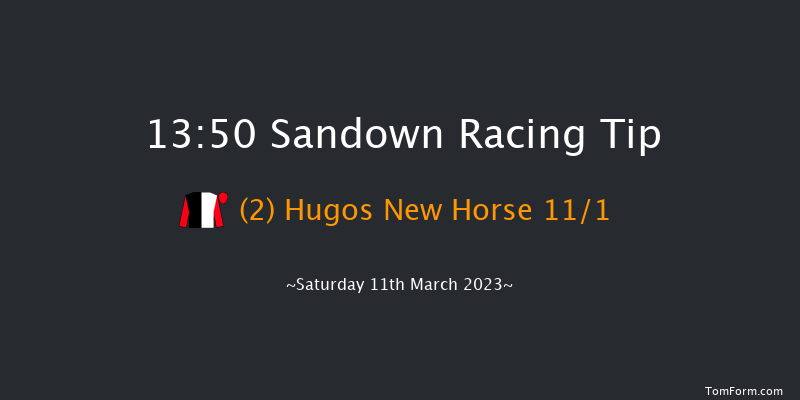 Sandown 13:50 Handicap Hurdle (Class 1) 20f Tue 7th Mar 2023