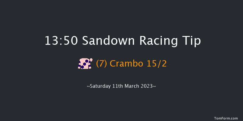 Sandown 13:50 Handicap Hurdle (Class 1) 20f Tue 7th Mar 2023