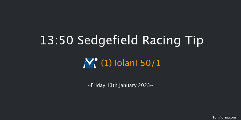Sedgefield 13:50 Handicap Hurdle (Class 5) 20f Fri 2nd Dec 2022