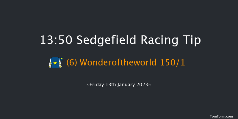 Sedgefield 13:50 Handicap Hurdle (Class 5) 20f Fri 2nd Dec 2022
