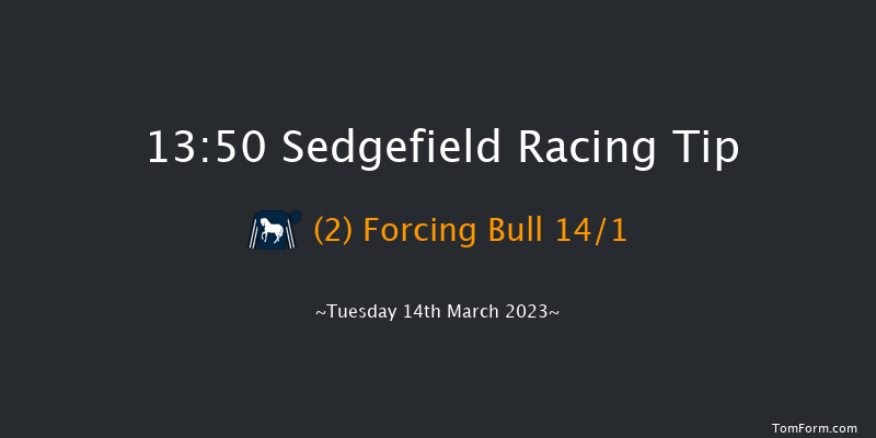 Sedgefield 13:50 Maiden Hurdle (Class 4) 17f Thu 23rd Feb 2023