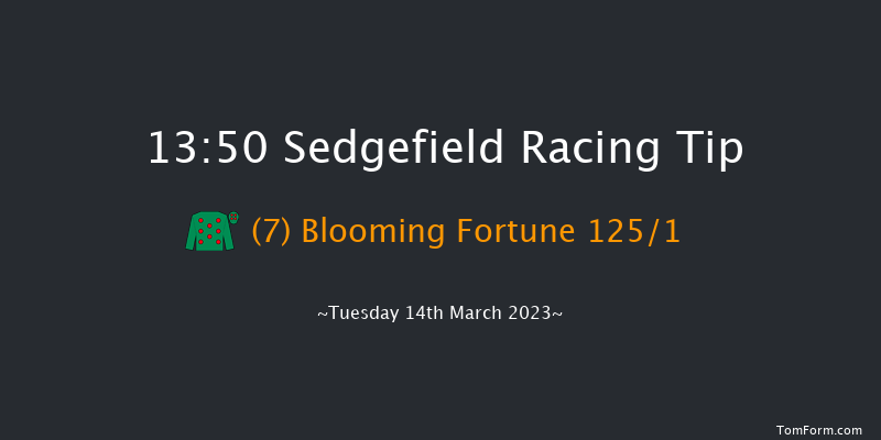 Sedgefield 13:50 Maiden Hurdle (Class 4) 17f Thu 23rd Feb 2023
