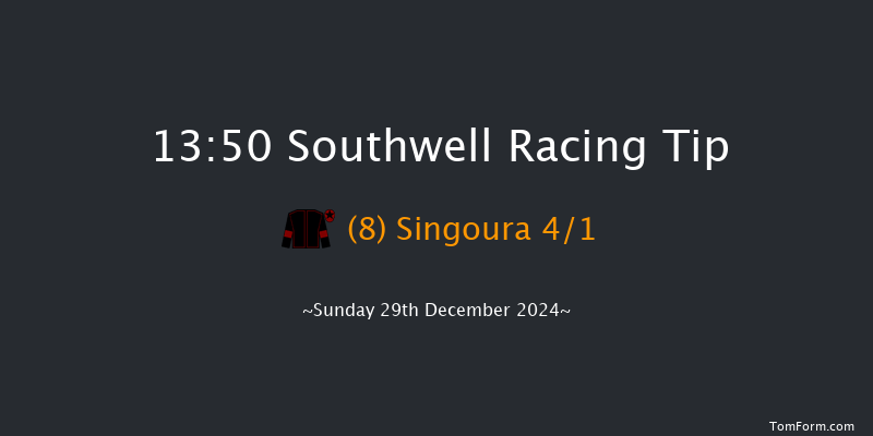 Southwell  13:50 Stakes (Class 5) 7f Sat 28th Dec 2024