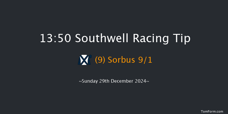 Southwell  13:50 Stakes (Class 5) 7f Sat 28th Dec 2024
