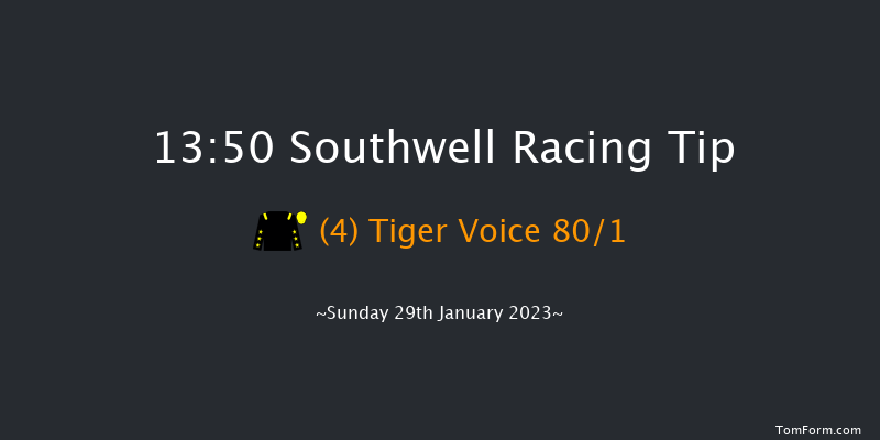 Southwell 13:50 Handicap Chase (Class 3) 16f Thu 26th Jan 2023