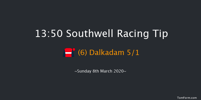 N. & L. Franklin Developments Ltd Female Jockeys' Handicap Chase Southwell 13:50 Handicap Chase (Class 4) 20f Thu 5th Mar 2020