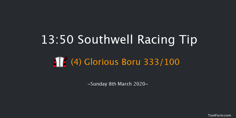 N. & L. Franklin Developments Ltd Female Jockeys' Handicap Chase Southwell 13:50 Handicap Chase (Class 4) 20f Thu 5th Mar 2020