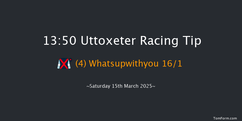 Uttoxeter  13:50 Handicap Hurdle (Class 3) 20f Sat 8th Feb 2025