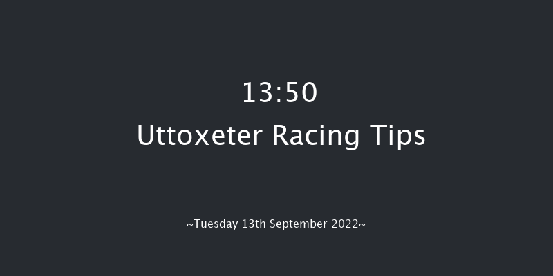 Uttoxeter 13:50 Handicap Hurdle (Class 5) 23f Wed 7th Sep 2022