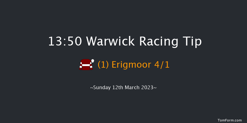 Warwick 13:50 Handicap Hurdle (Class 5) 16f Fri 24th Feb 2023