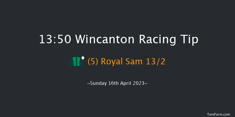 Wincanton 13:50 Handicap Hurdle (Class 5) 20f Wed 5th Apr 2023