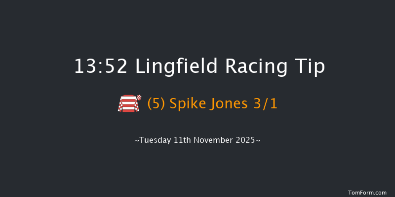 Lingfield 13-52 (Class 3) 23f Tue 4th Nov 2025