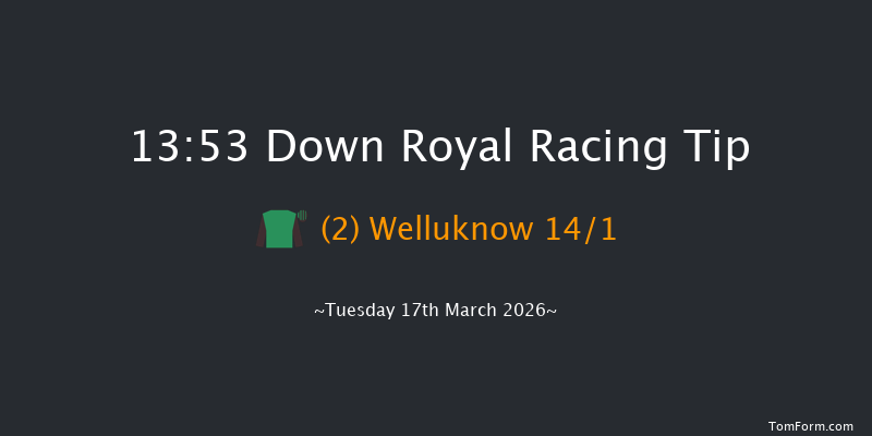 Down Royal 13-53 20f Tue 20th Jan 2026