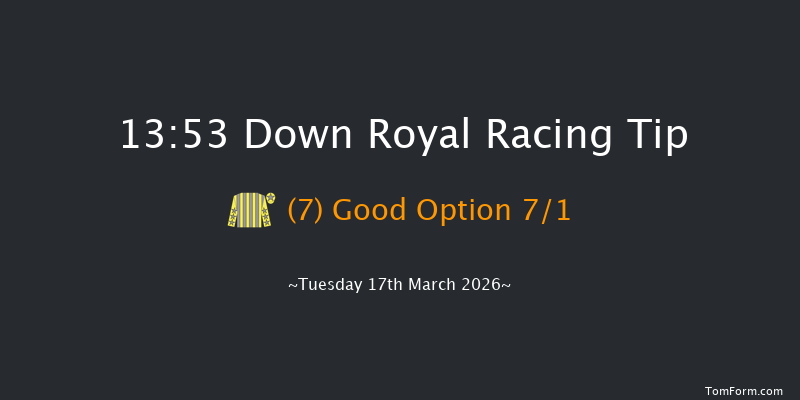 Down Royal 13-53 20f Tue 20th Jan 2026