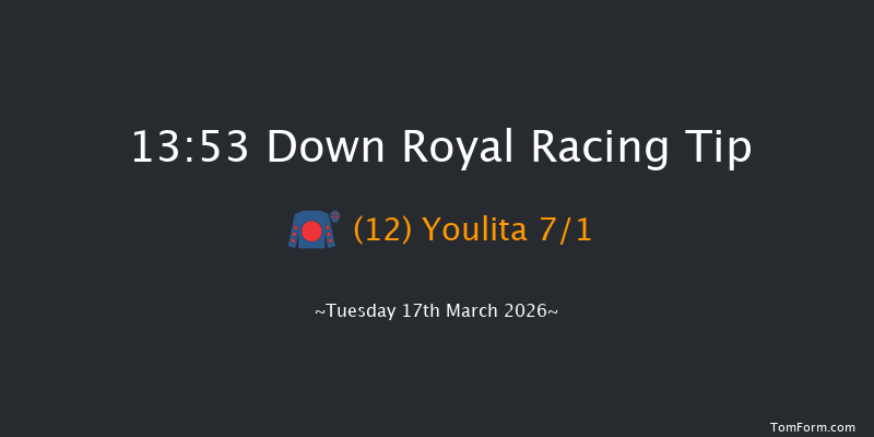 Down Royal 13-53 20f Tue 20th Jan 2026
