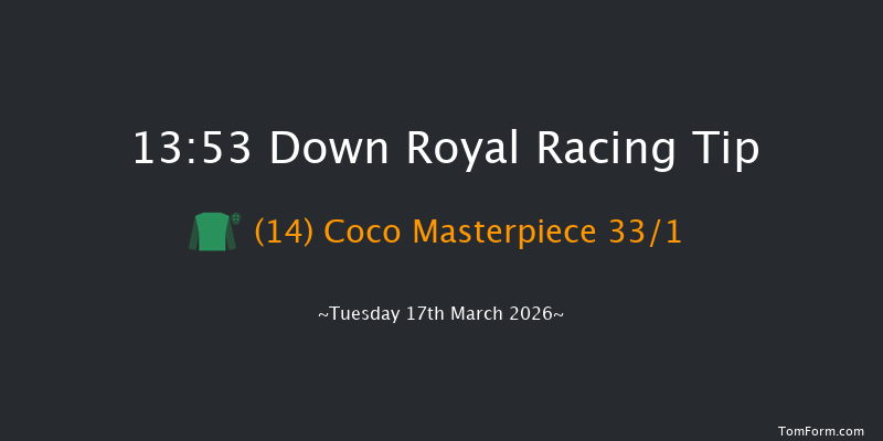 Down Royal 13-53 20f Tue 20th Jan 2026