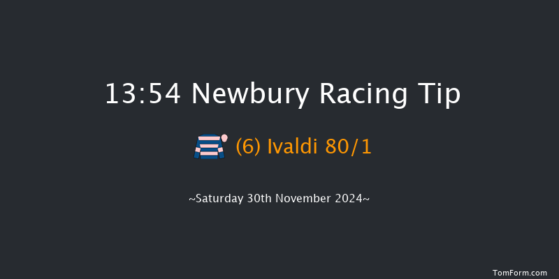 Newbury  13:54 Handicap Hurdle (Class 2) 20f Fri 29th Nov 2024