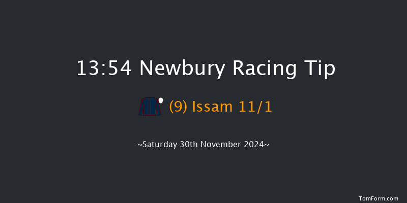 Newbury  13:54 Handicap Hurdle (Class 2) 20f Fri 29th Nov 2024