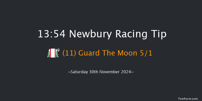 Newbury  13:54 Handicap Hurdle (Class 2) 20f Fri 29th Nov 2024