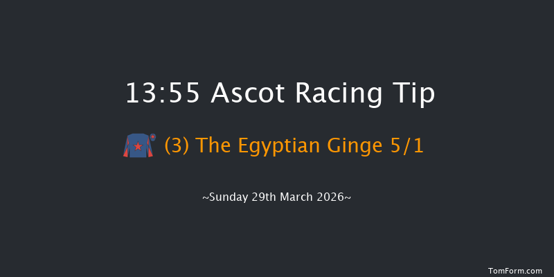 Ascot 13-55 (Class 2) 19f Sat 14th Feb 2026