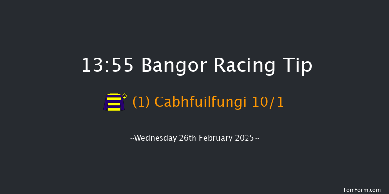 Bangor-on-dee  13:55 Maiden Chase (Class 3)
17f Fri 7th Feb 2025