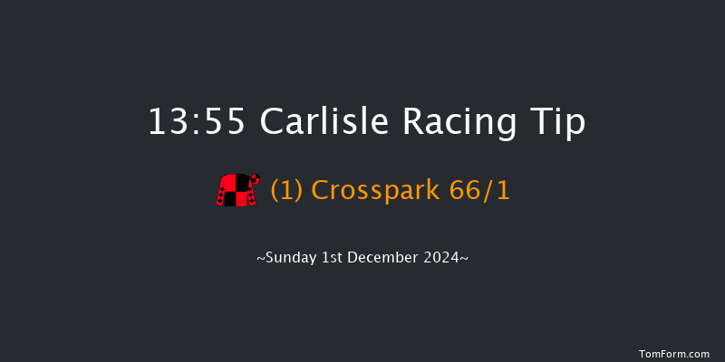 Carlisle  13:55 Handicap Chase (Class 3) 24f Tue 19th Nov 2024