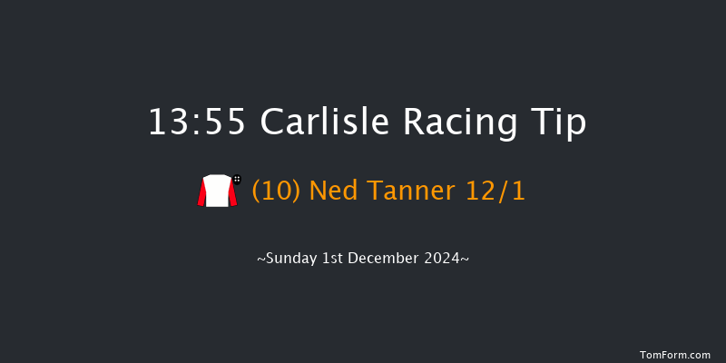Carlisle  13:55 Handicap Chase (Class 3) 24f Tue 19th Nov 2024