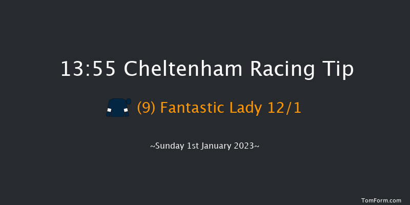 Cheltenham 13:55 Handicap Chase (Class 1) 21f Sun 13th Nov 2022