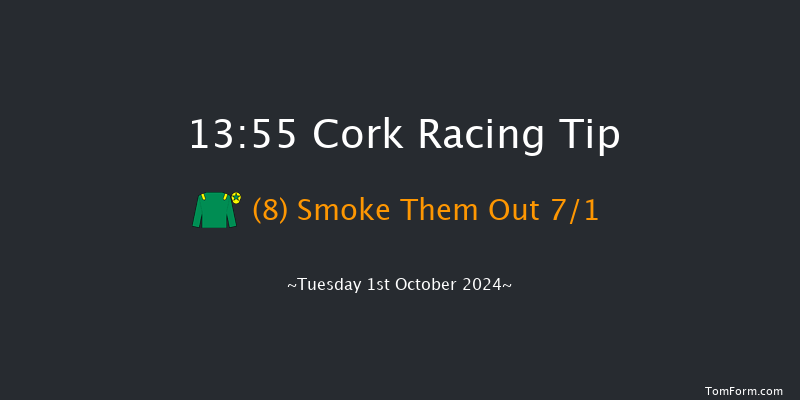 Cork  13:55 Handicap 6f Wed 11th Sep 2024