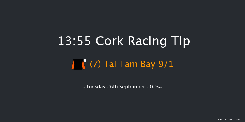 Cork 13:55 Handicap 6f Wed 6th Sep 2023