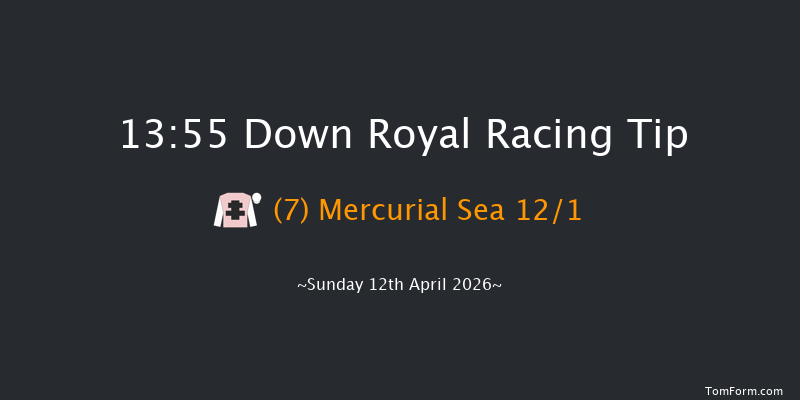 Down Royal 13-55 19f Tue 17th Mar 2026