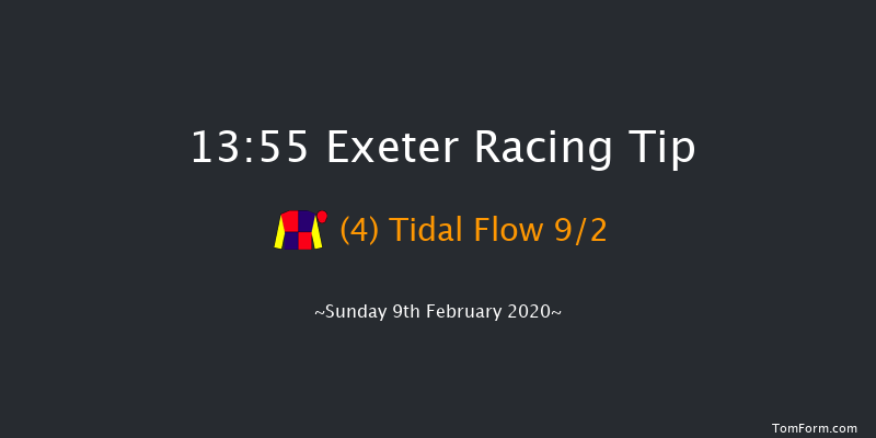 Watch On Racing Tv Novices' Chase Exeter 13:55 Novices Chase (Class 3) 19f Tue 21st Jan 2020