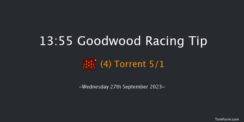 Goodwood 13:55 Maiden (Class 2) 10f Tue 5th Sep 2023