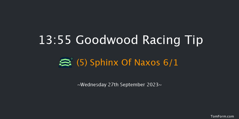 Goodwood 13:55 Maiden (Class 2) 10f Tue 5th Sep 2023