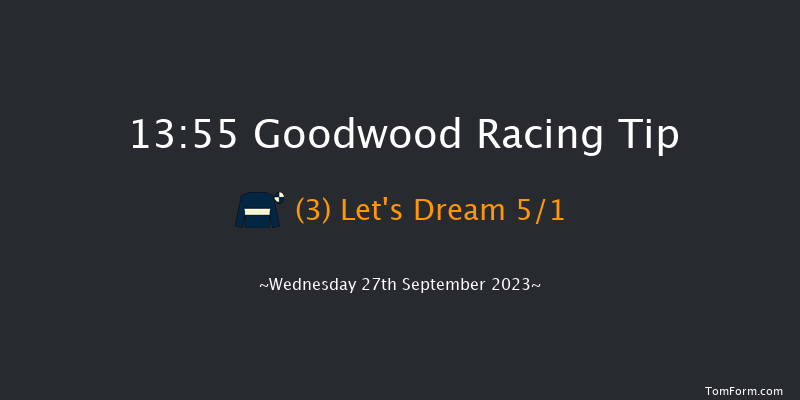 Goodwood 13:55 Maiden (Class 2) 10f Tue 5th Sep 2023