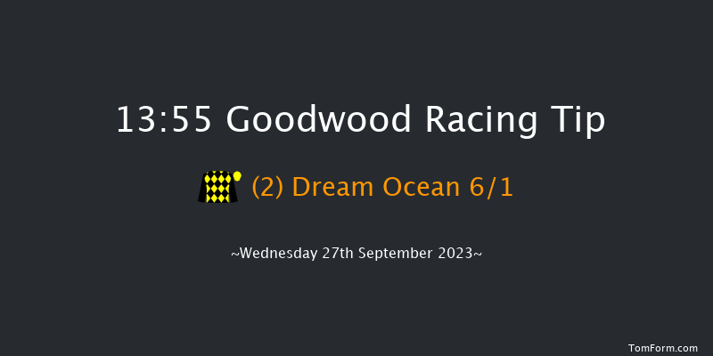 Goodwood 13:55 Maiden (Class 2) 10f Tue 5th Sep 2023