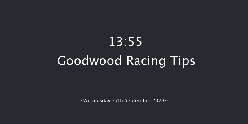 Goodwood 13:55 Maiden (Class 2) 10f Tue 5th Sep 2023