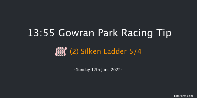 Gowran Park 13:55 Handicap 7f Mon 6th Jun 2022