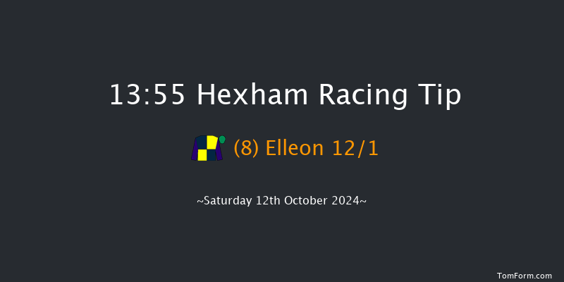 Hexham  13:55 Handicap Chase (Class 4) 20f Fri 4th Oct 2024