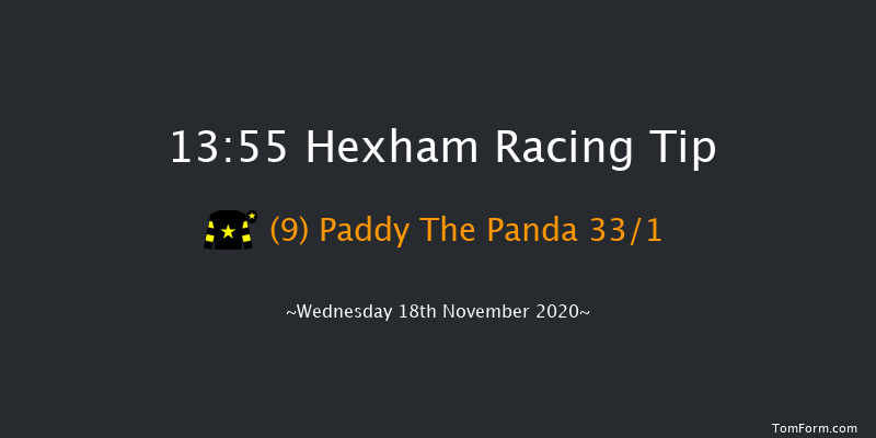 British Stallion Studs EBF 'National Hunt' Novices' Hurdle (Qualifier) (GBB Race) Hexham 13:55 Maiden Hurdle (Class 4) 16f Fri 6th Nov 2020