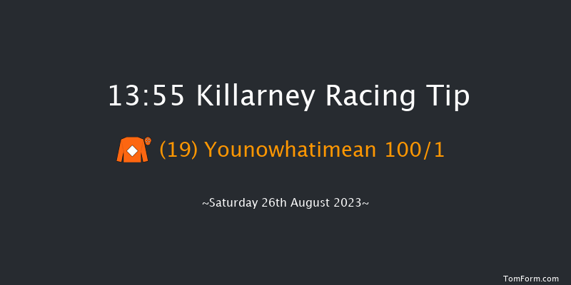 Killarney 13:55 Maiden Hurdle 16f Fri 25th Aug 2023