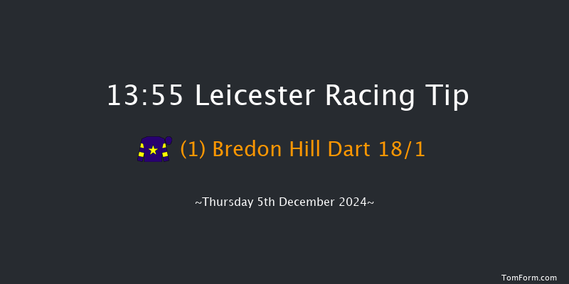 Leicester  13:55 Handicap Hurdle (Class 5) 16f Sun 1st Dec 2024