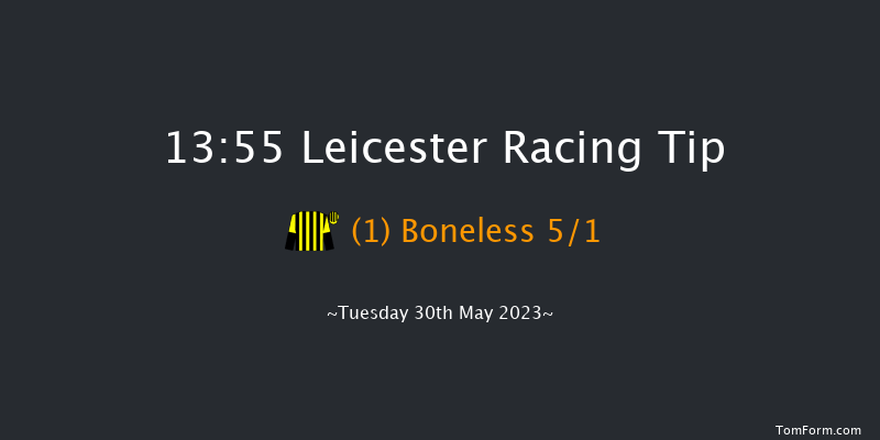 Leicester 13:55 Stakes (Class 4) 5f Mon 29th May 2023