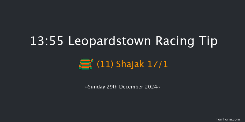 Leopardstown  13:55 Handicap Chase 24f Sat 28th Dec 2024
